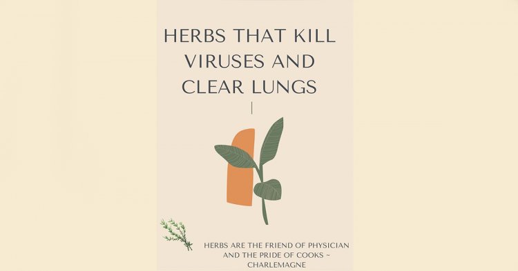 Herbs That Kill Viruses And Clear Lungs.